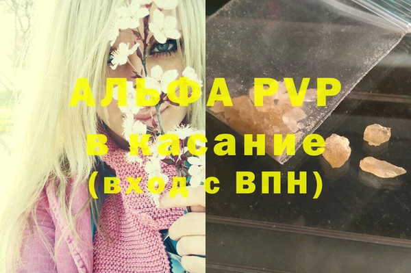 амф Заволжск