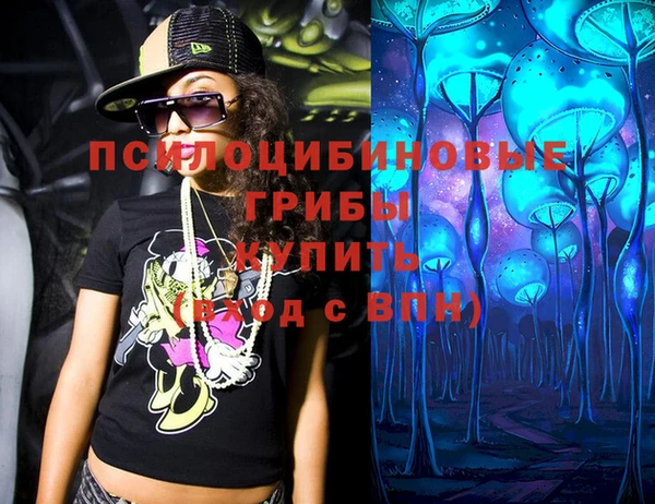 а пвп мука Коряжма