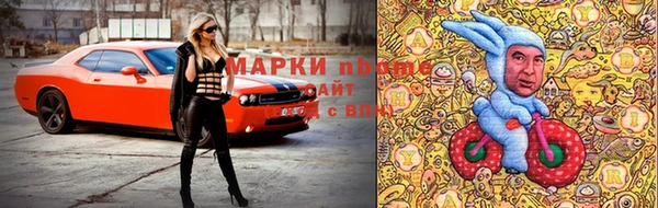 амф Заволжск