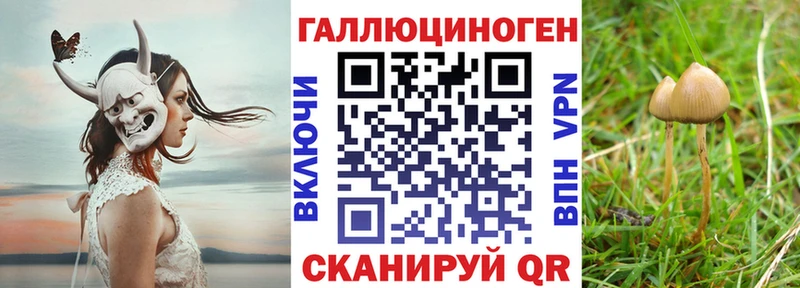 Псилоцибиновые грибы мухоморы  Зеленоградск 